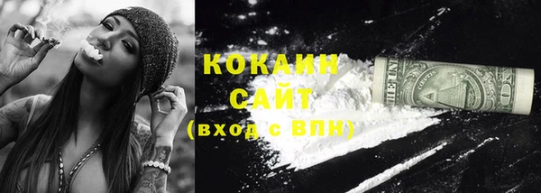 дживик Осташков