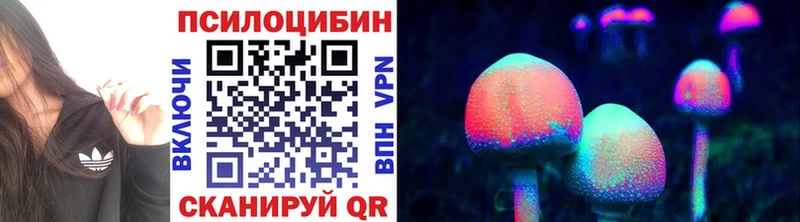 Псилоцибиновые грибы Magic Shrooms  мега зеркало  Новоузенск 